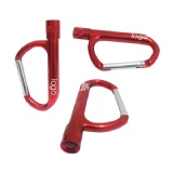 Carabiner with Torch